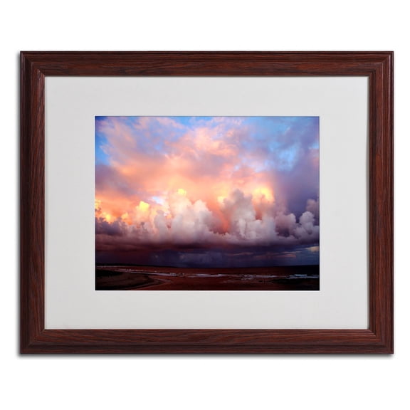 Trademark Fine Art "An Evening" Framed Canvas Art by Beata Czyzowska Young