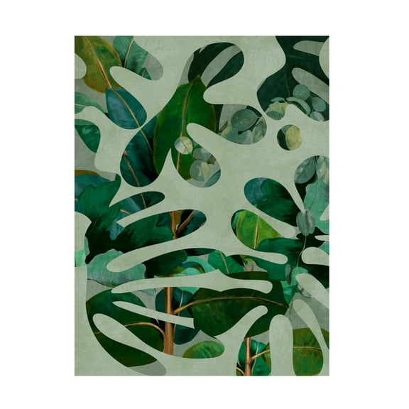 Trademark Fine Art Ana Rut Bre Leaves More 10 Canvas Wall Art