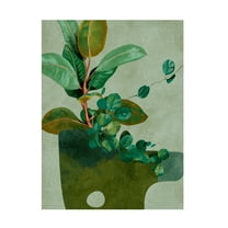 Trademark Fine Art Ana Rut Bre Leaves More 12 Canvas Wall Art