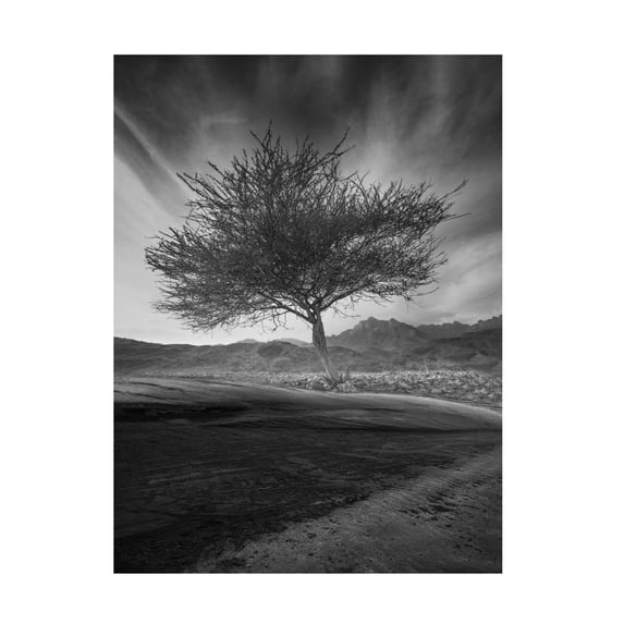 Trademark Fine Art Anas AlSubhi Revival Canvas Wall Art