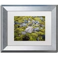 thumbnail image 1 of Trademark Fine Art 'Ancestry' Canvas Art by Philippe Sainte-Laudy, White Matte, Silver Frame, 1 of 1