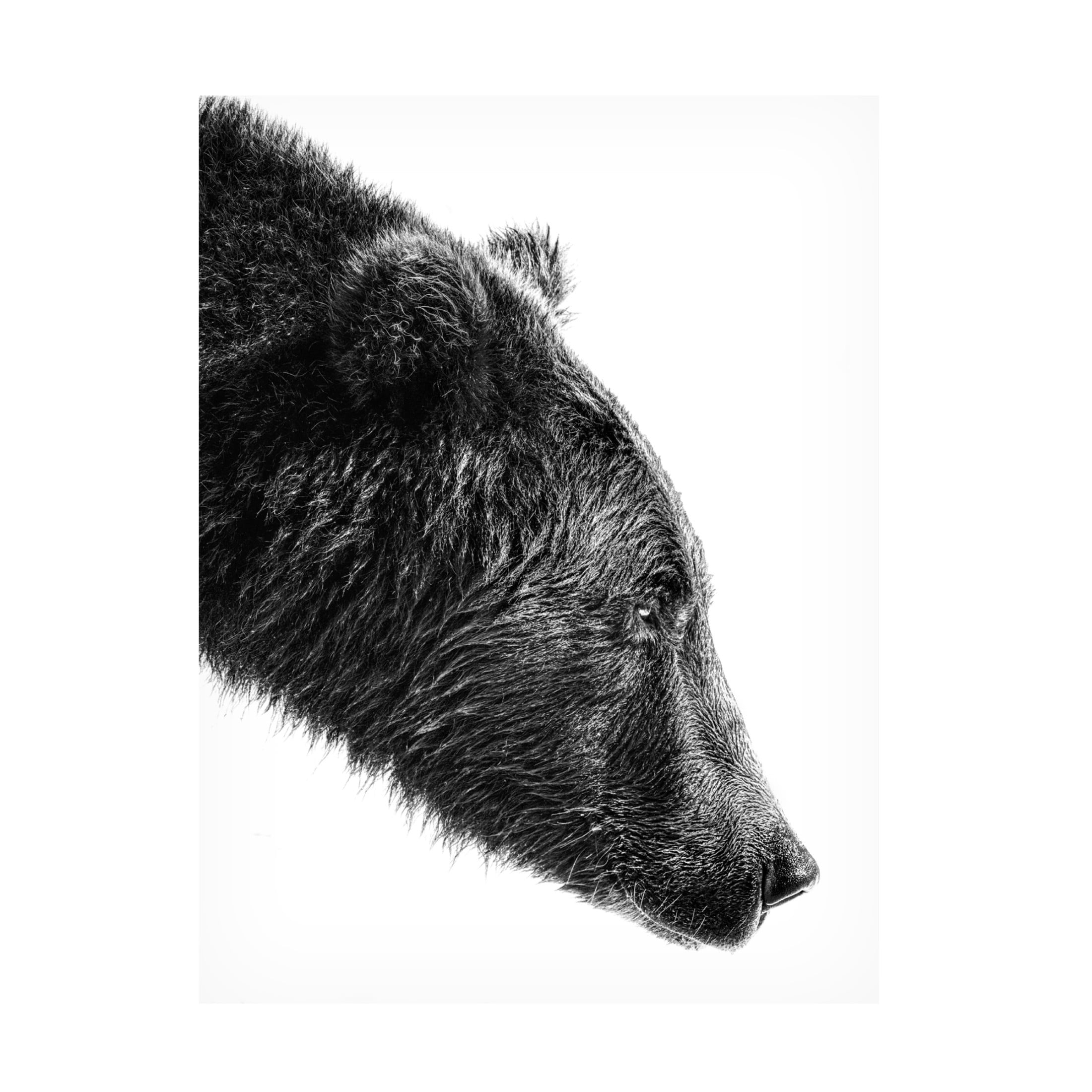 Trademark Fine Art Anchor Lee The Salmon Catcher Canvas Wall Art