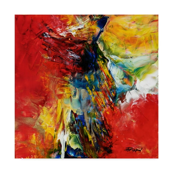 Trademark Fine Art 'And Danced The Skies' Canvas Art by Aleta Pippin