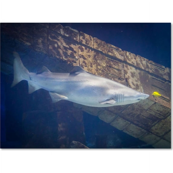 Trademark Fine Art "And You Are" Canvas Art by Yale Gurney