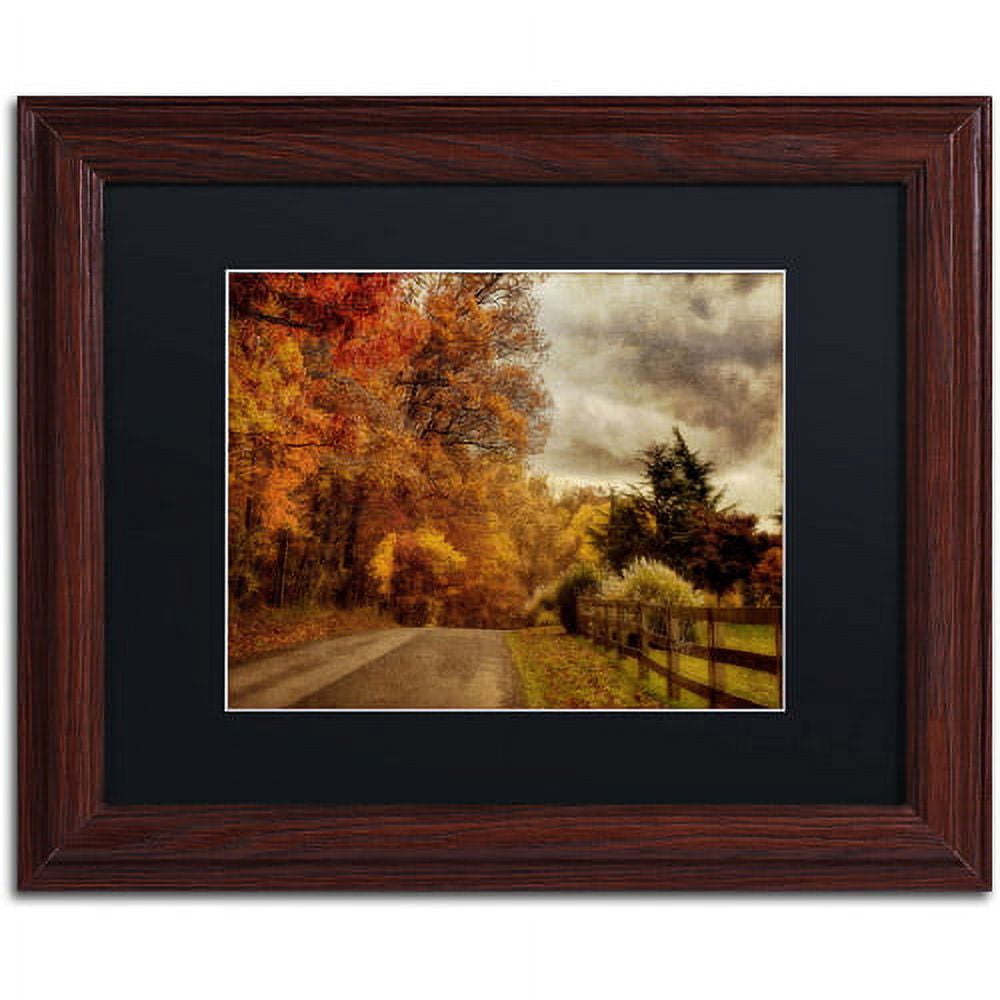 Trademark Fine Art "And the Seasons They Go Round and Round" Canvas Art by Lois Bryan, Black Mat, Wood Frame