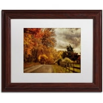 Trademark Fine Art "And the Seasons They Go Round and Round" Canvas Art by Lois Bryan, White Mat, Wood Frame