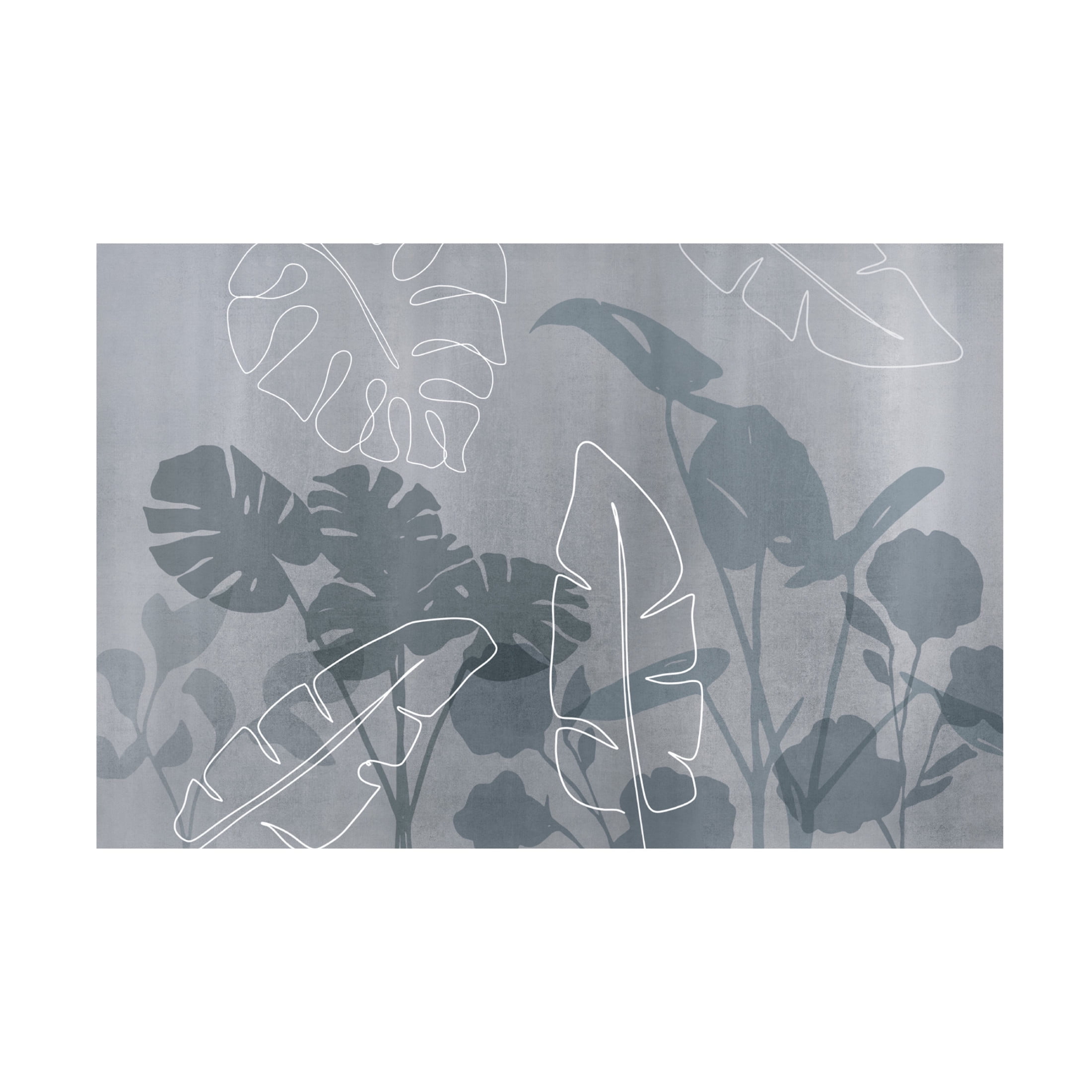 Trademark Fine Art Andrea Haase Abstract Botanical and Line Canvas Wall Art