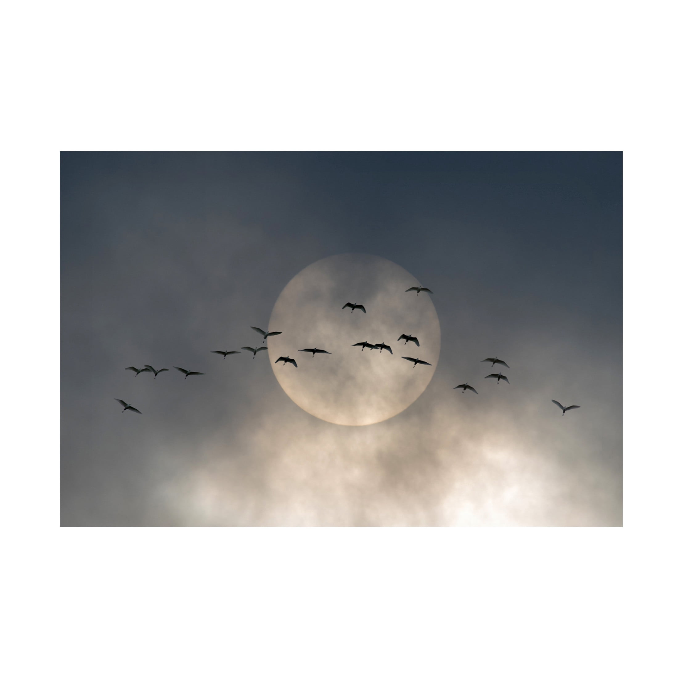 Trademark Fine Art Andrea Haase Caterina Wings Canvas Wall Art