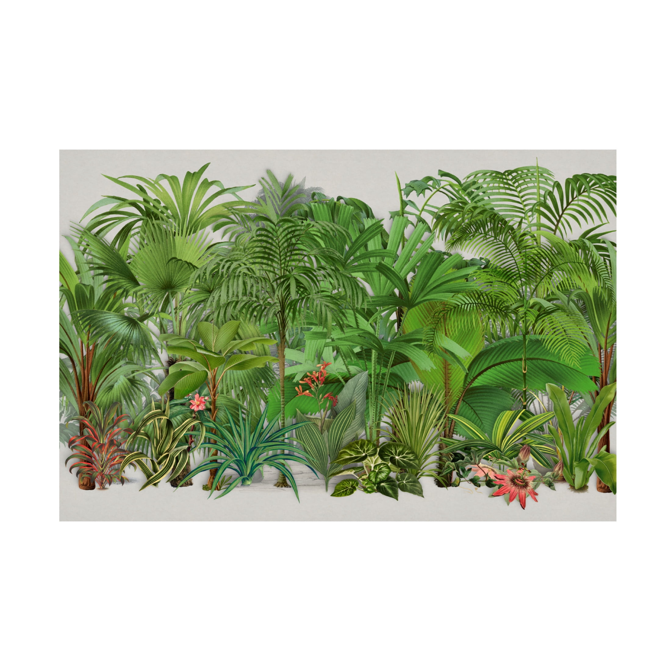 Trademark Fine Art Andrea Haase Exotic Wildlife 003 Canvas Wall Art