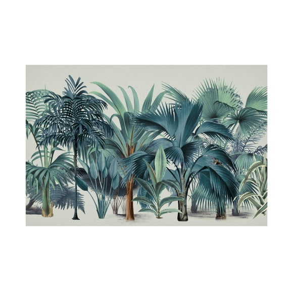 Trademark Fine Art Andrea Haase  Exotic Wildlife 004 1 Canvas Wall Art