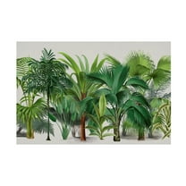 Trademark Fine Art Andrea Haase Exotic Wildlife 004 Canvas Wall Art