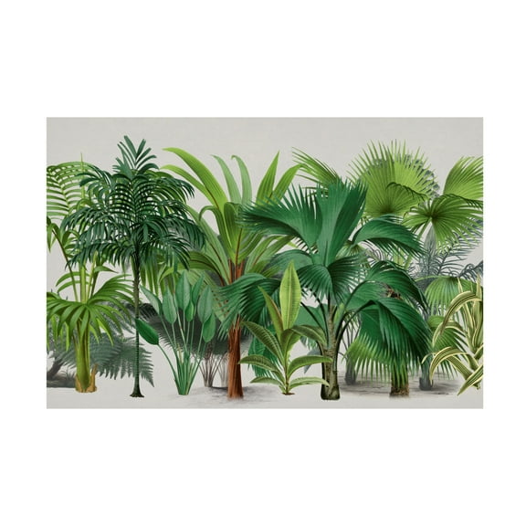 Trademark Fine Art Andrea Haase Exotic Wildlife 004 Canvas Wall Art