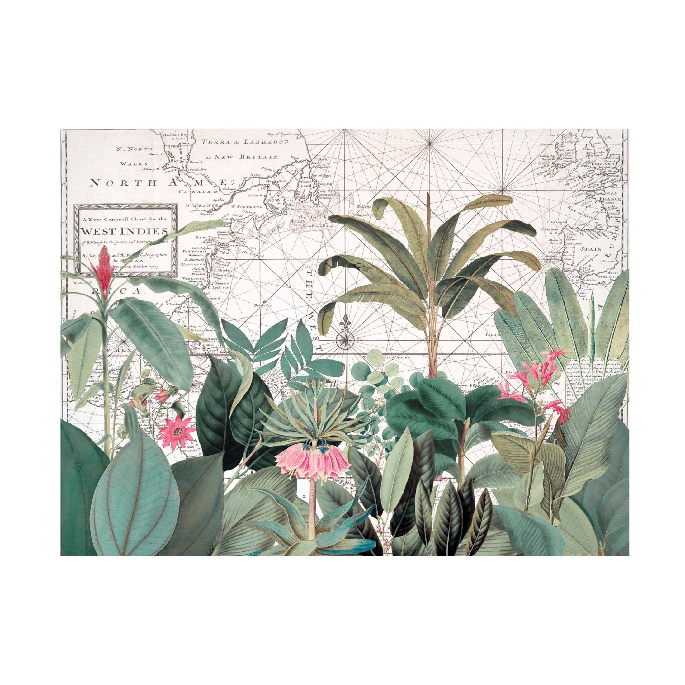 Trademark Fine Art Andrea Haase Exotic Wildlife 005 1 Canvas Wall Art