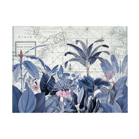 Trademark Fine Art Andrea Haase Exotic Wildlife 005 2 Canvas Wall Art