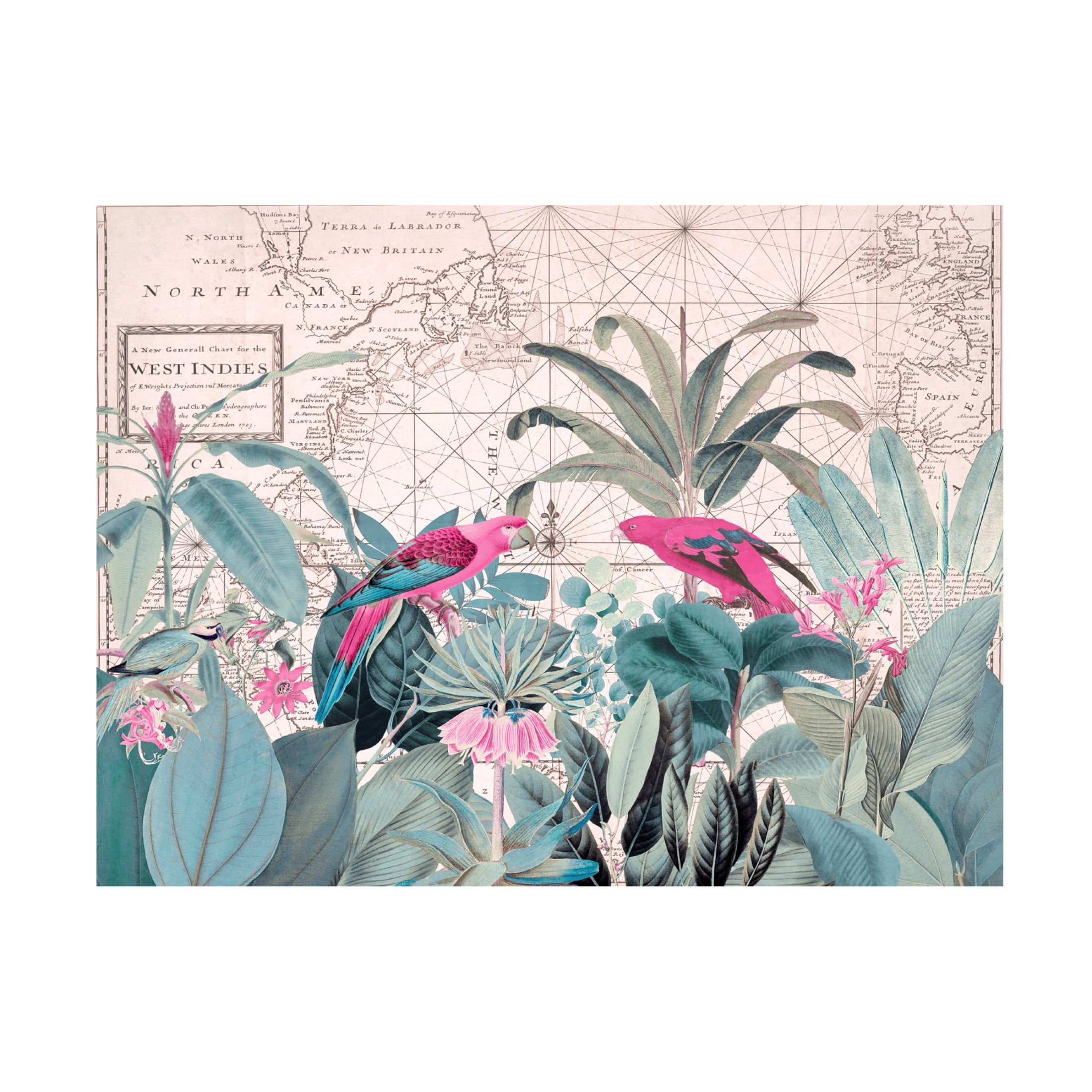Trademark Fine Art Andrea Haase Exotic Wildlife 006 1 Canvas Wall Art