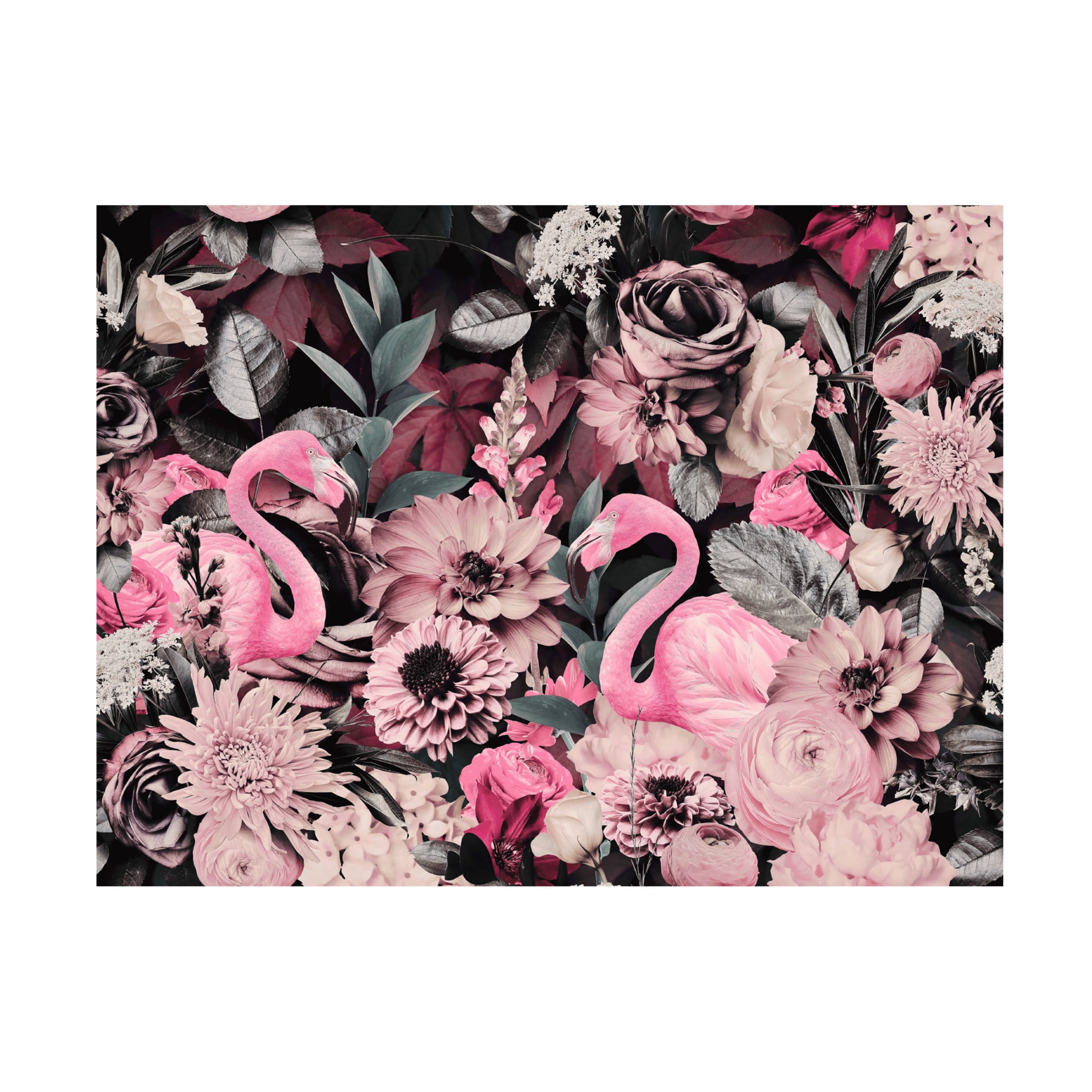 Trademark Fine Art Andrea Haase  Flamingo Garden No2 Canvas Wall Art