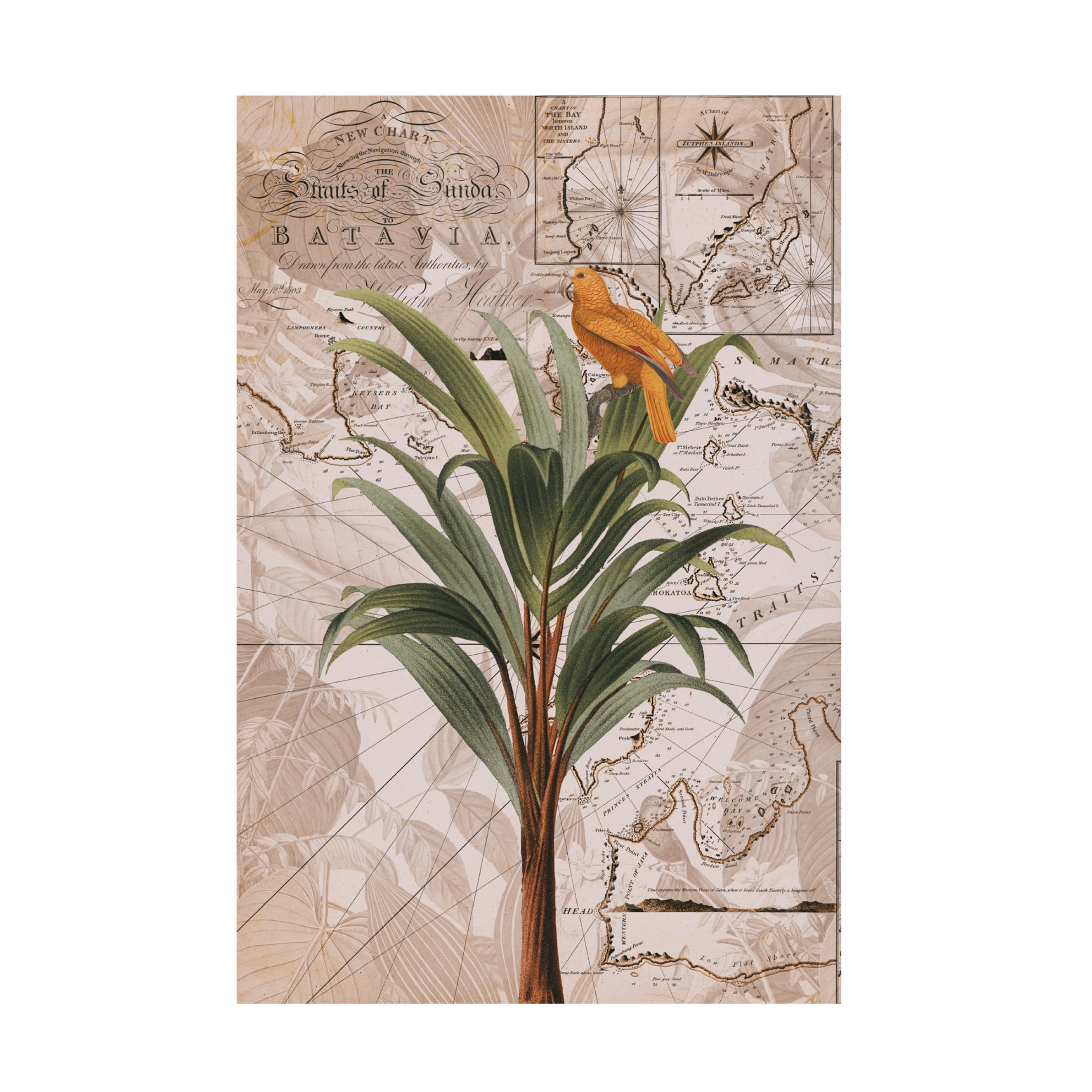 Trademark Fine Art Andrea Haase  Indonesia Jungle Paradise No2 Canvas Wall Art