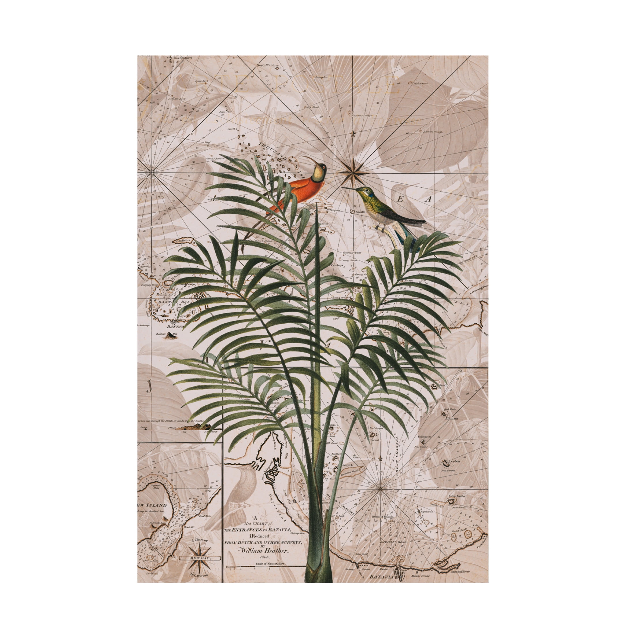 Trademark Fine Art Andrea Haase Indonesia Jungle Paradise No4 Canvas Wall Art
