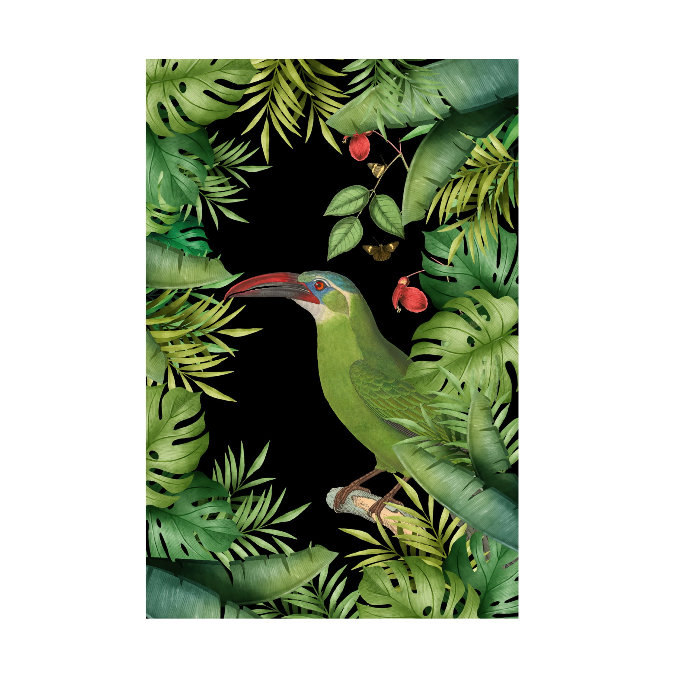 Trademark Fine Art Andrea Haase  Jungle With Green Toucan Canvas Wall Art