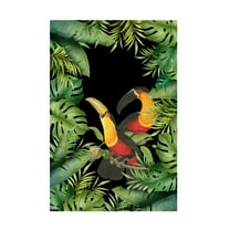 Trademark Fine Art Andrea Haase  Jungle With Toucans Canvas Wall Art