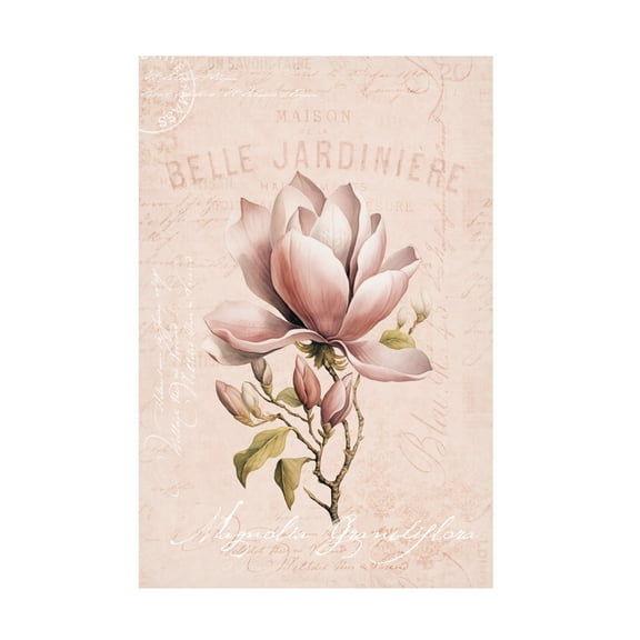 Trademark Fine Art Andrea Haase Magnolia Blush No1 Canvas Wall Art