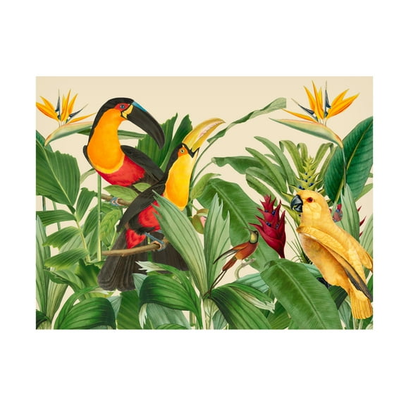 Trademark Fine Art Andrea Haase Rain Forest Bird Garden Canvas Wall Art