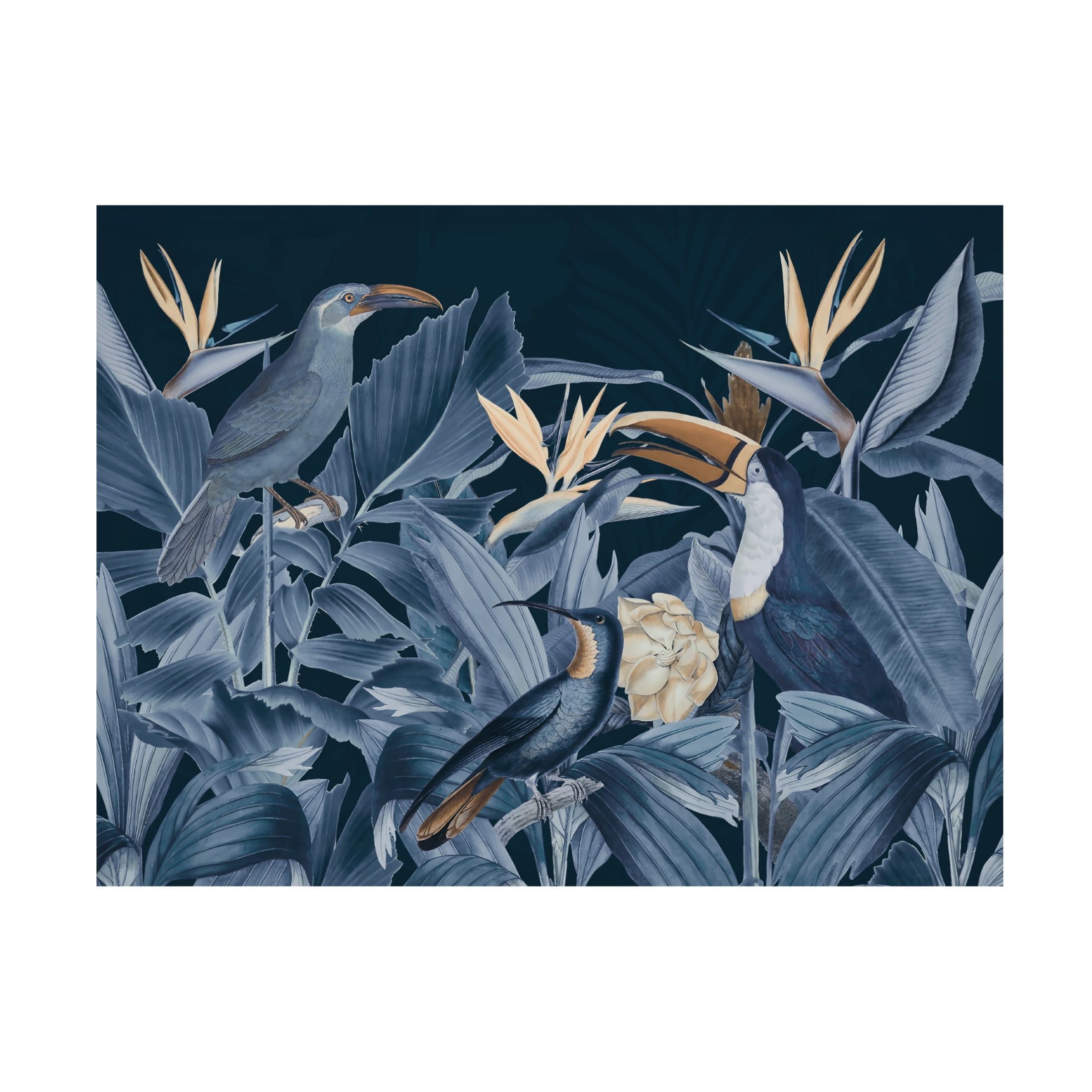 Trademark Fine Art Andrea Haase Rainforest Birds Blue Canvas Wall Art