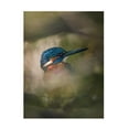 thumbnail image 1 of Trademark Fine Art Andrea Haase Renmyr A Hidden Gem Canvas Wall Art, 1 of 4