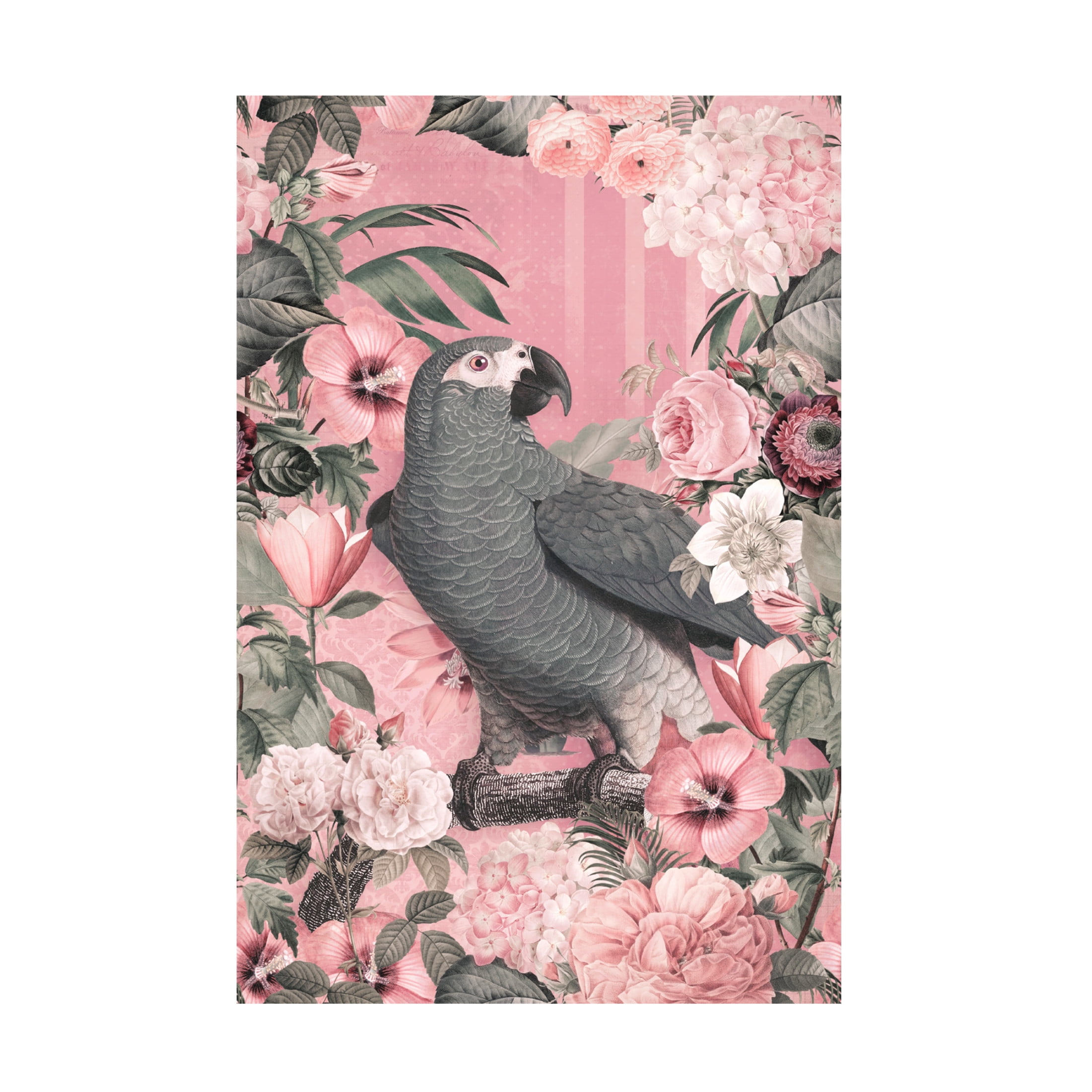 Trademark Fine Art Andrea Haase  The Parrots Paradise Garden 2 Pastel Pink Canvas Wall Art