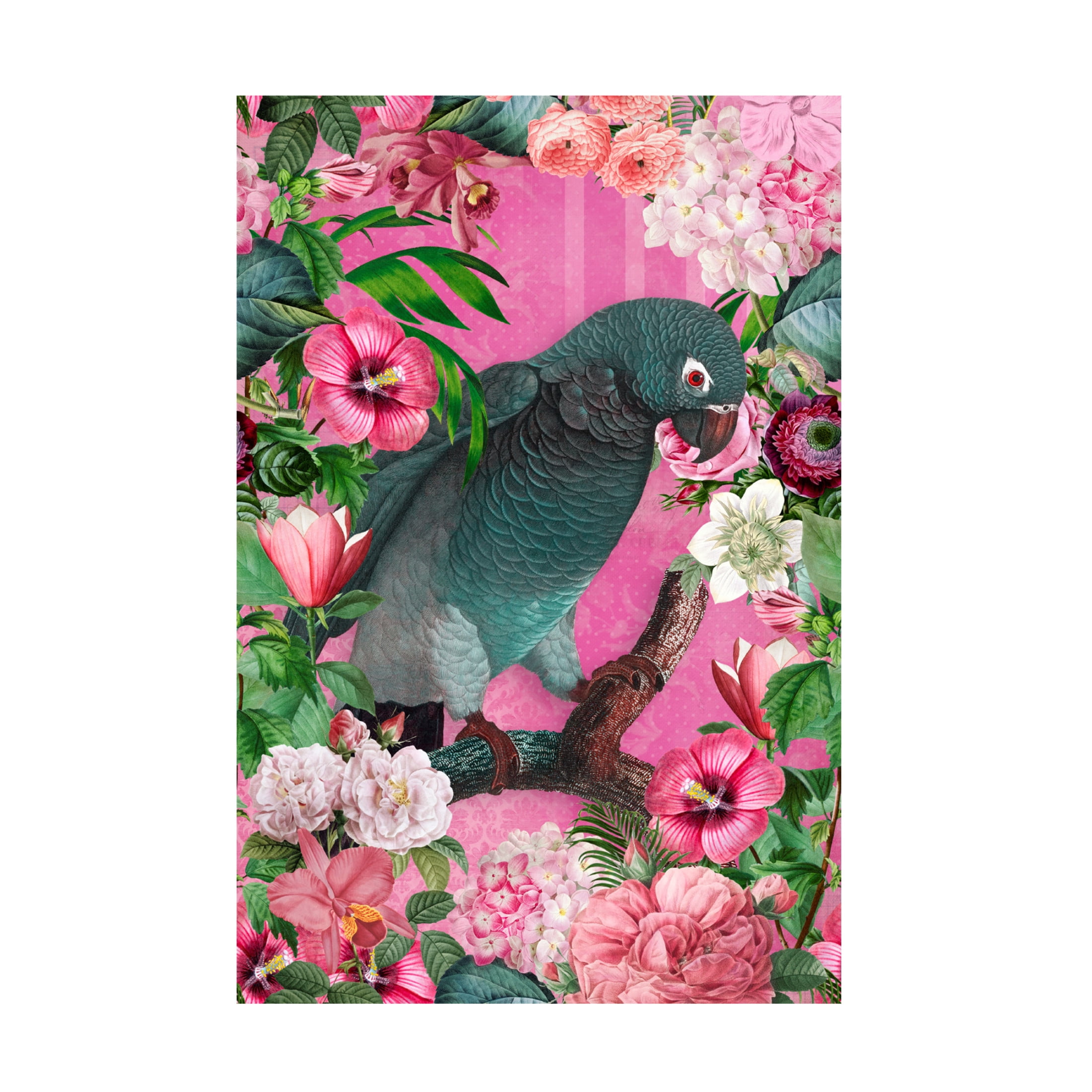 Trademark Fine Art Andrea Haase  The Parrots Paradise Garden 3 Canvas Wall Art