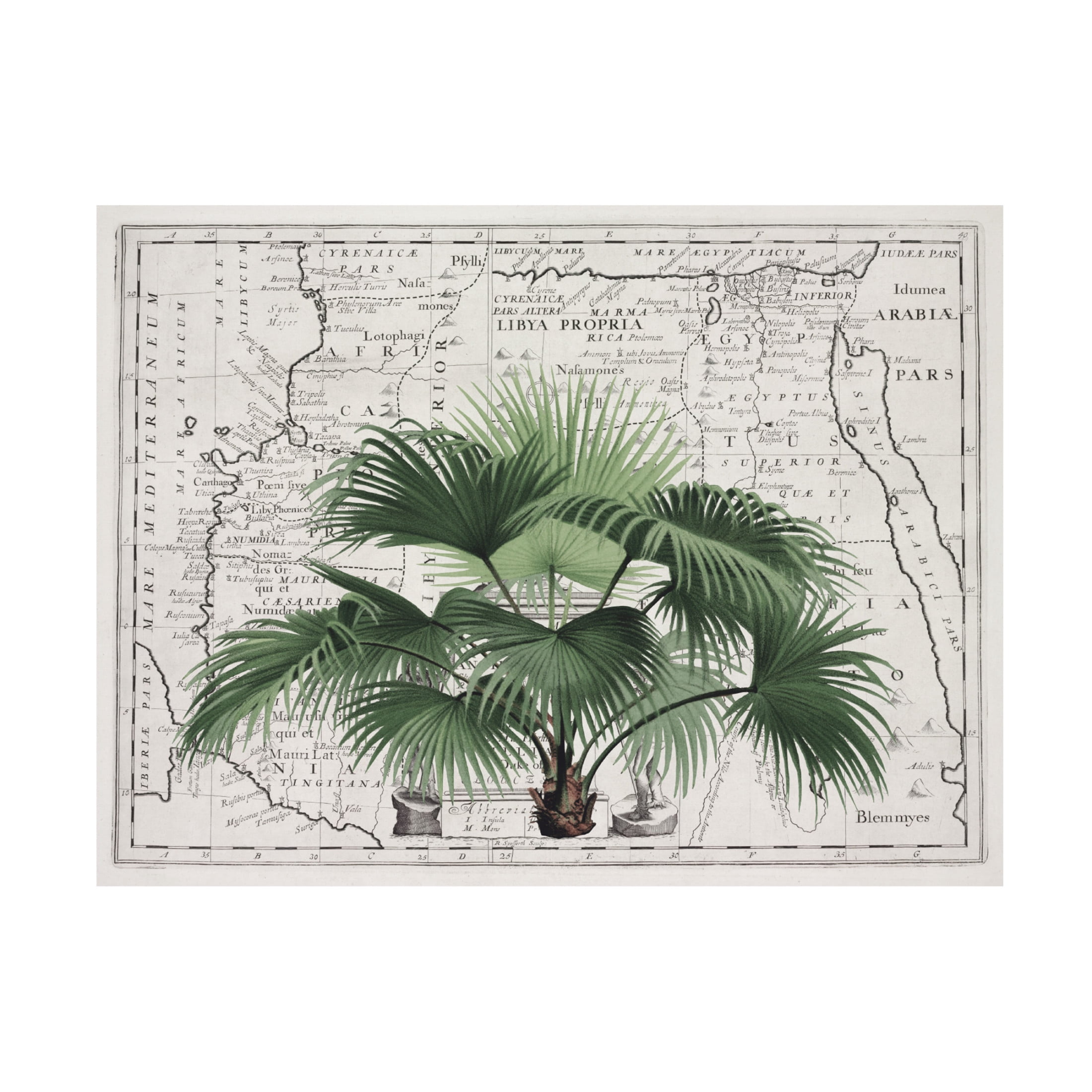 Trademark Fine Art Andrea Haase Tropical Empire No3 Canvas Wall Art