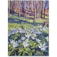 thumbnail image 1 of Trademark Fine Art "Anemones in the Meadow" Canvas Art by David Lloyd Glover, 1 of 3