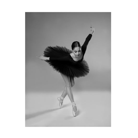 Trademark Fine Art Aneta Nikolova  A swan Canvas Wall Art