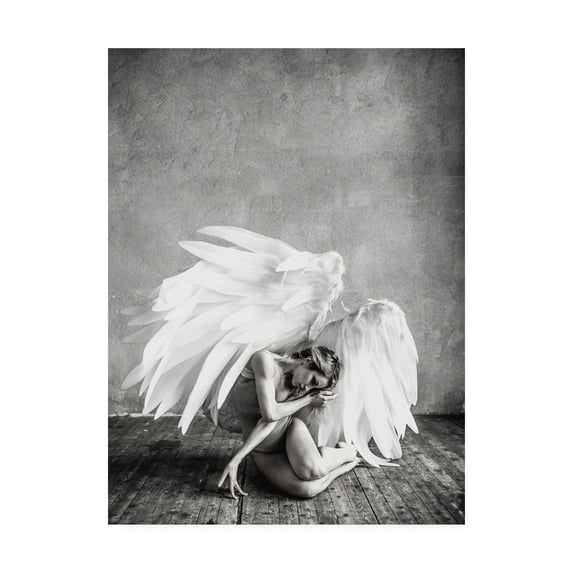 Trademark Fine Art 'Angel Bold' Canvas Art by PhotoINC Studio