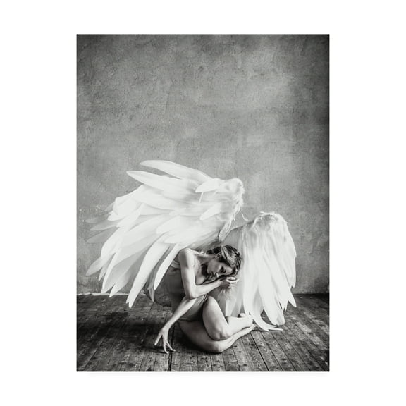 Trademark Fine Art 'Angel Bold' Canvas Art by PhotoINC Studio