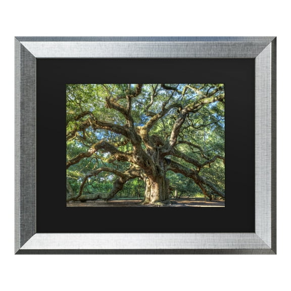 Trademark Fine Art 'Angel Oak Charleston' Canvas Art by Pierre Leclerc