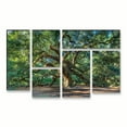 thumbnail image 1 of Trademark Fine Art 'Angel Oak Charleston' Canvas Art by Pierre Leclerc, 1 of 4