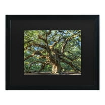 Trademark Fine Art 'Angel Oak Charleston' Canvas Art by Pierre Leclerc