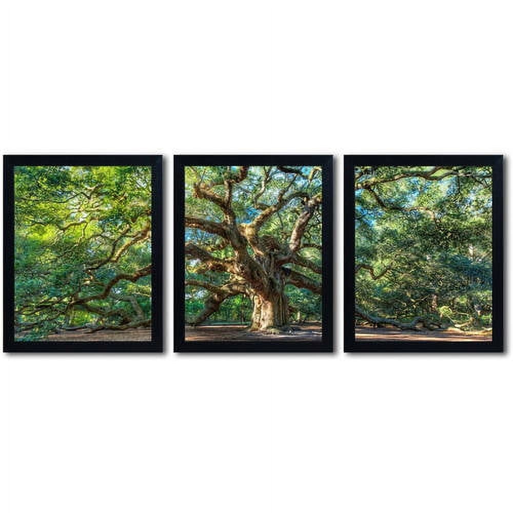 Trademark Fine Art "Angel Oak Charleston" by Pierre Leclerc 3-Piece Multi-Frame Set