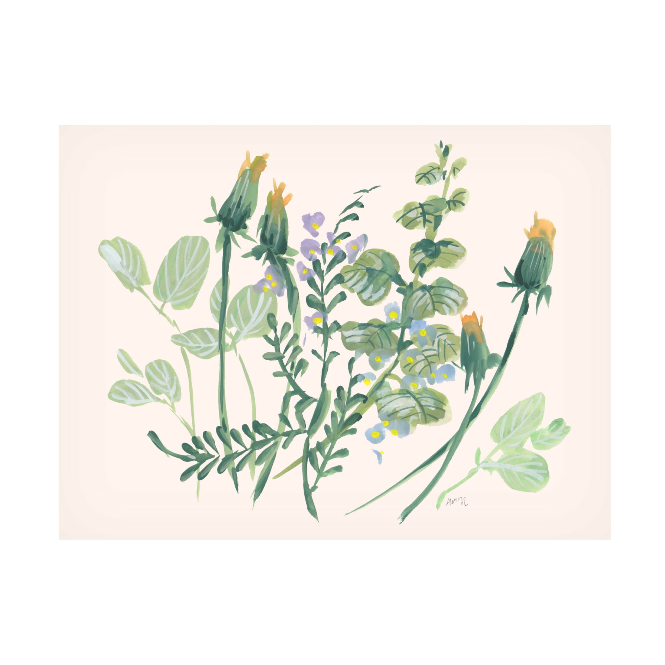 Trademark Fine Art Ania Zwara  Closed Dandelions Canvas Wall Art