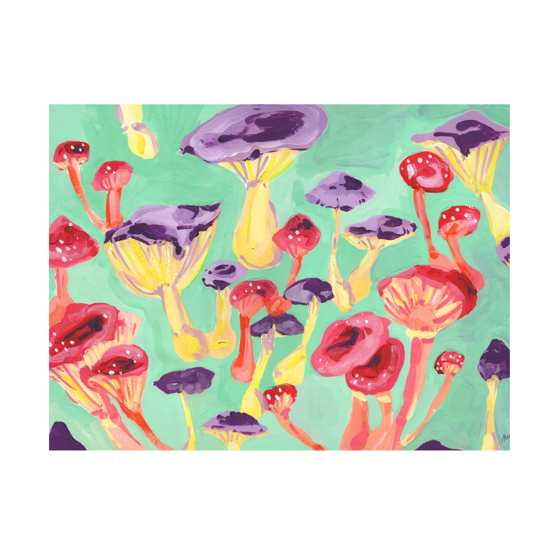 Trademark Fine Art Ania Zwara  Magic Mushrooms Canvas Wall Art