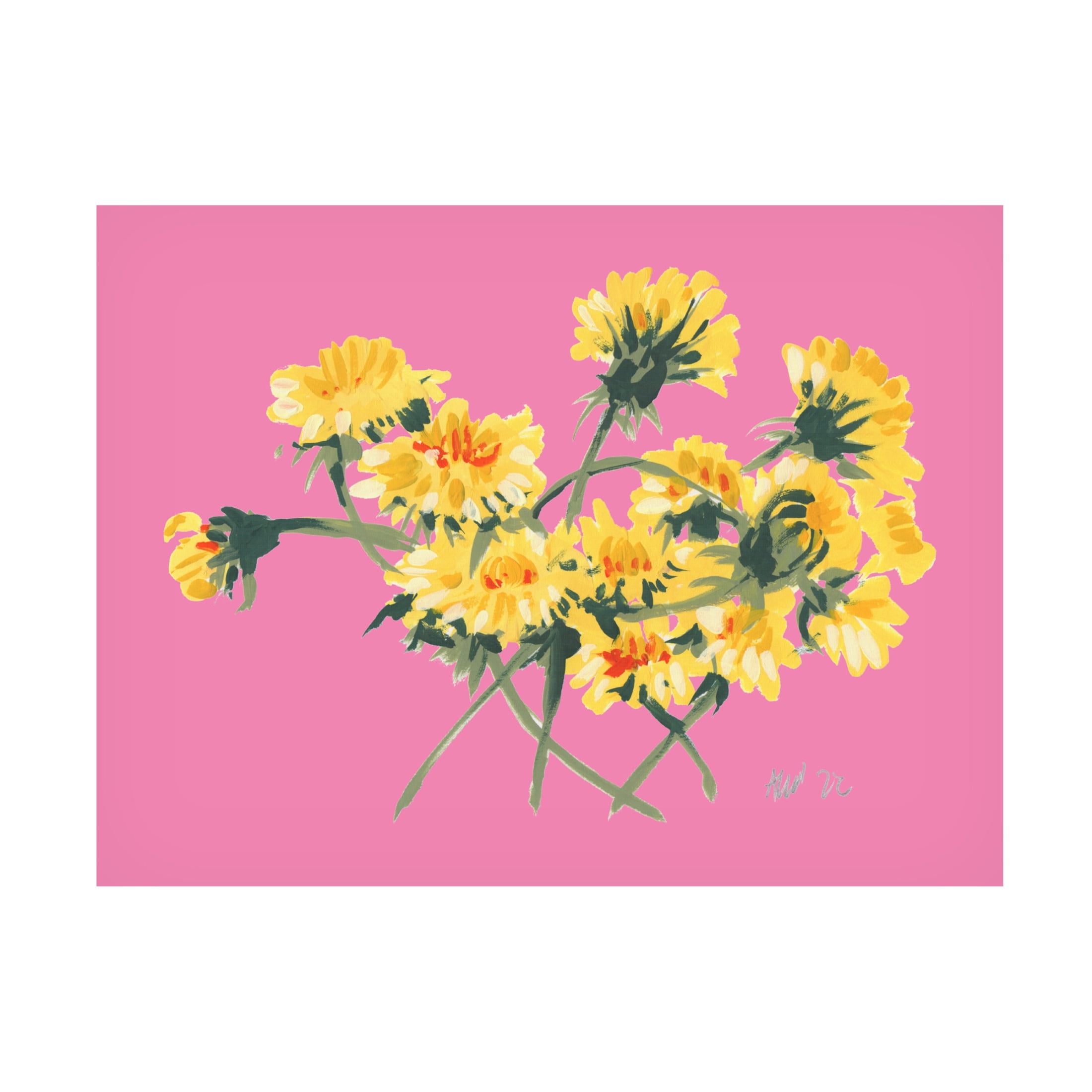 Trademark Fine Art Ania Zwara  Yellow Dandelions On Pink Canvas Wall Art