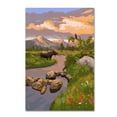 thumbnail image 1 of Trademark Fine Art 'Animal 29' Canvas Art by Lantern Press, 1 of 3
