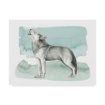 Trademark Fine Art 'Animal I' Canvas Art by Grace Popp