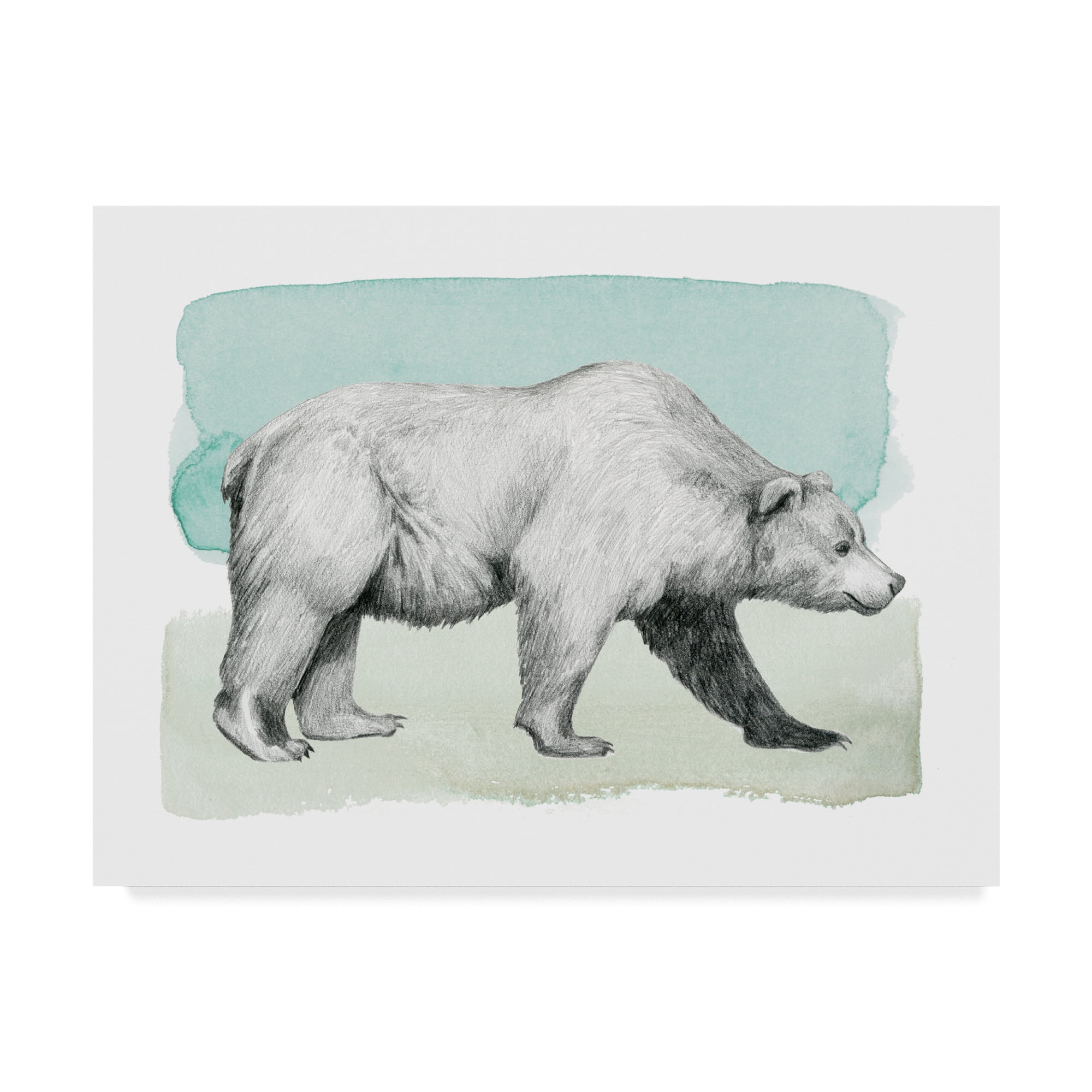 Trademark Fine Art 'Animal II' Canvas Art by Grace Popp