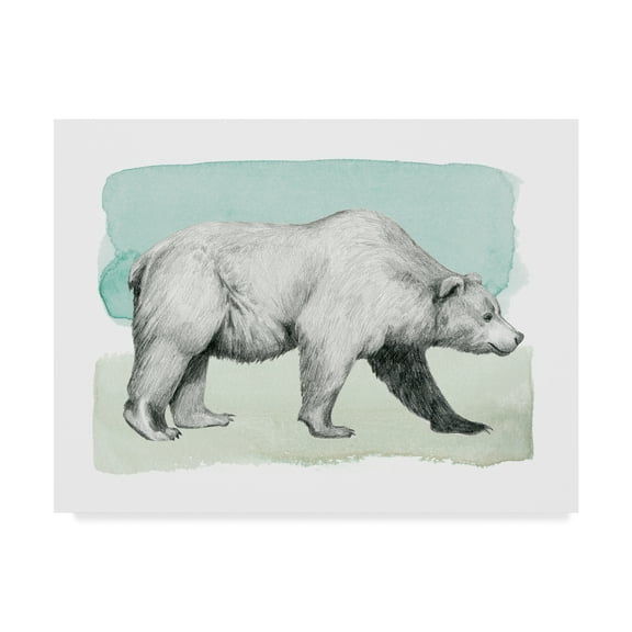 Trademark Fine Art 'Animal II' Canvas Art by Grace Popp