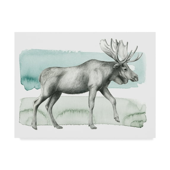 Trademark Fine Art 'Animal III' Canvas Art by Grace Popp