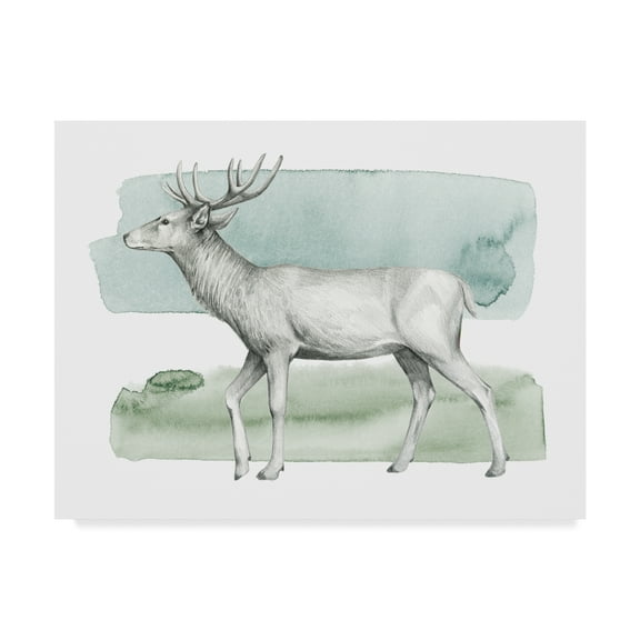 Trademark Fine Art 'Animal IV' Canvas Art by Grace Popp