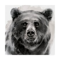 Trademark Fine Art Animals Canvas Art ' Bear Grin II ' by Jennifer Paxton Parker