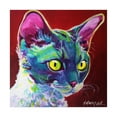 thumbnail image 1 of Trademark Fine Art Animals Canvas Art ' Cat Devon Rex ' by DawgArt, 1 of 3